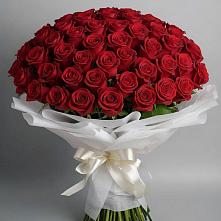 Букет 101 Красная роза Блэк Мэджик в Озерске