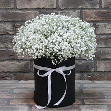 Цветочная композиция из Гипсофила в шляпной коробке в Озерске