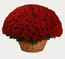 Премиум букет из: Розы #REPLACE_PRED# Озерске